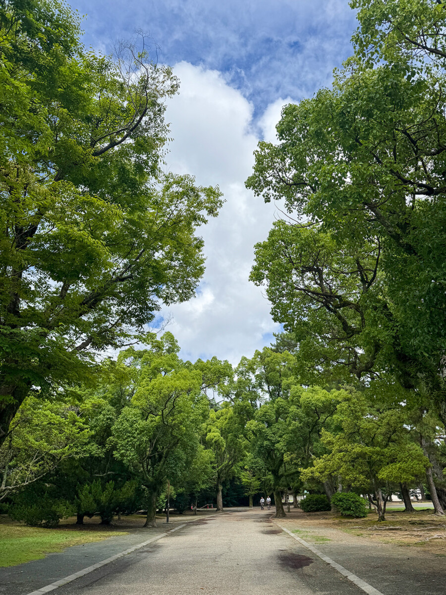 平日の静かな公園