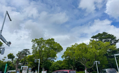豊橋新アリーナ住民投票を目前に控えた豊橋公園を歩いてみた