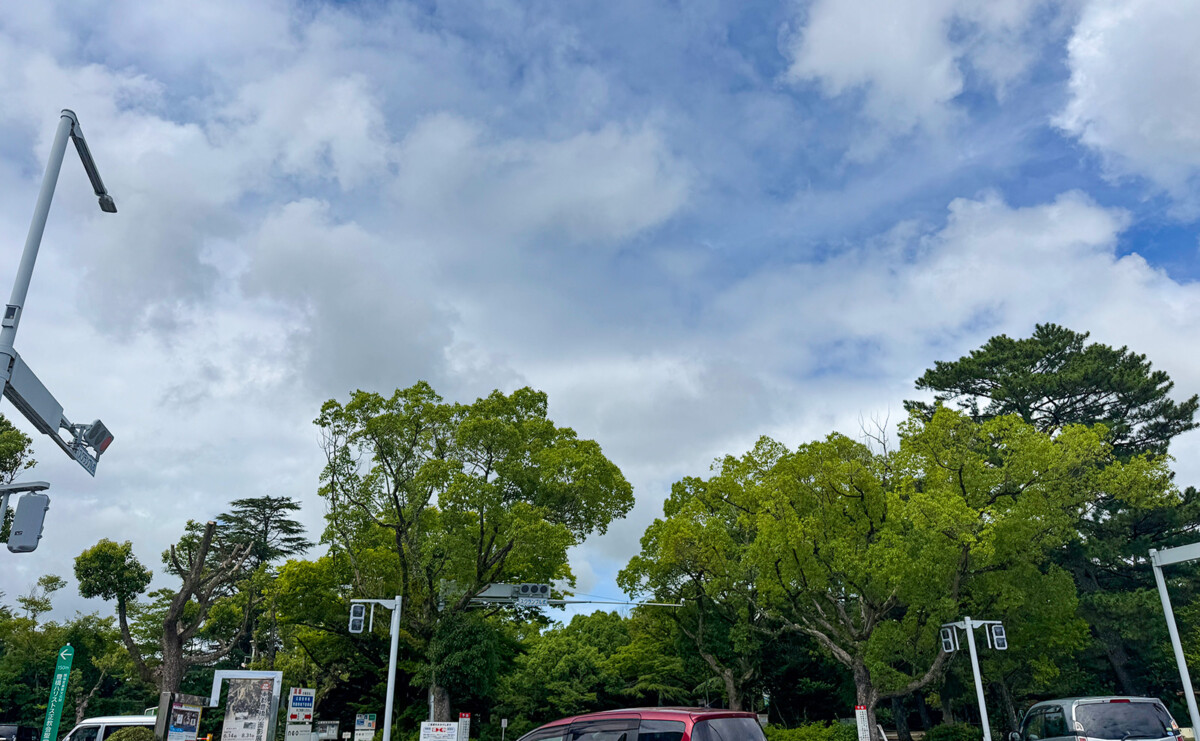 豊橋新アリーナ住民投票を目前に控えた豊橋公園を歩いてみた